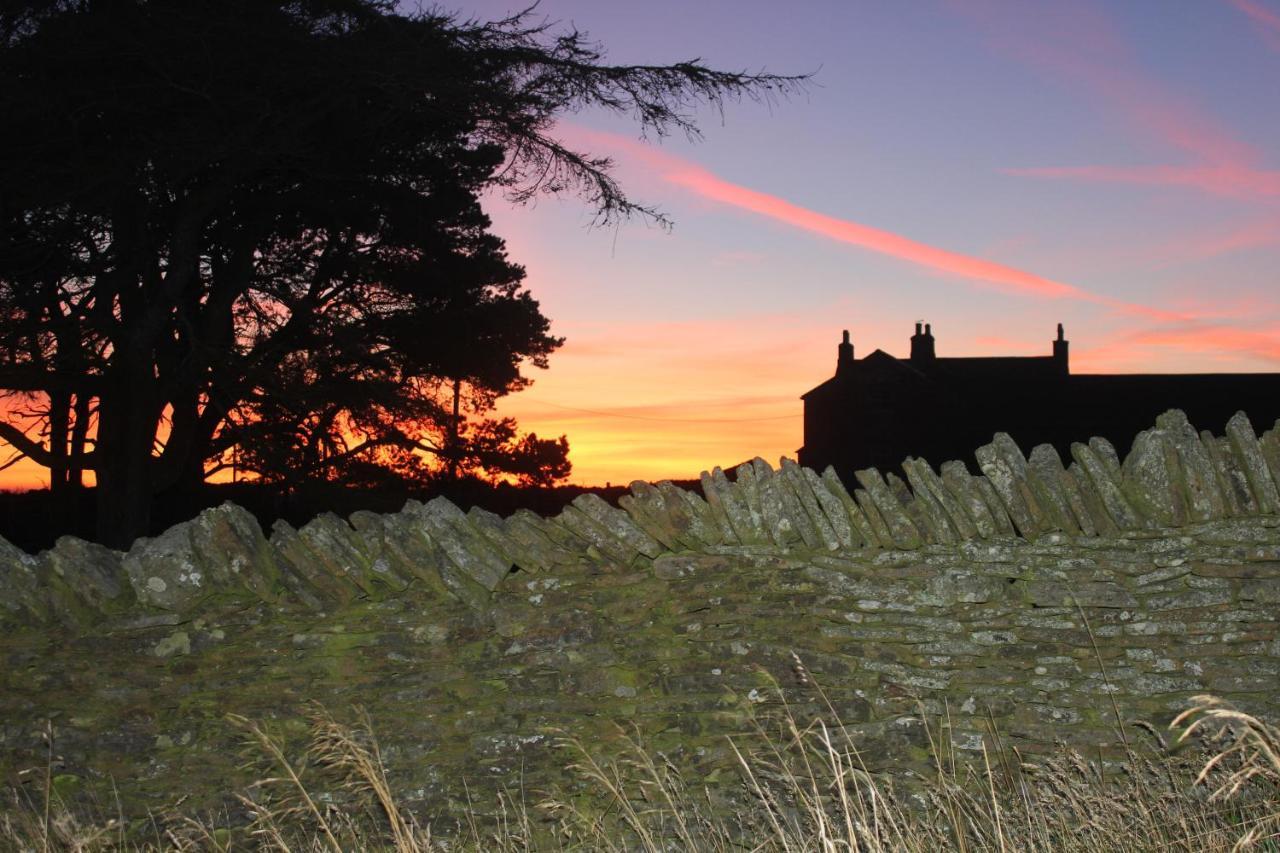 High Keenley Fell Farm Allendale Экстерьер фото