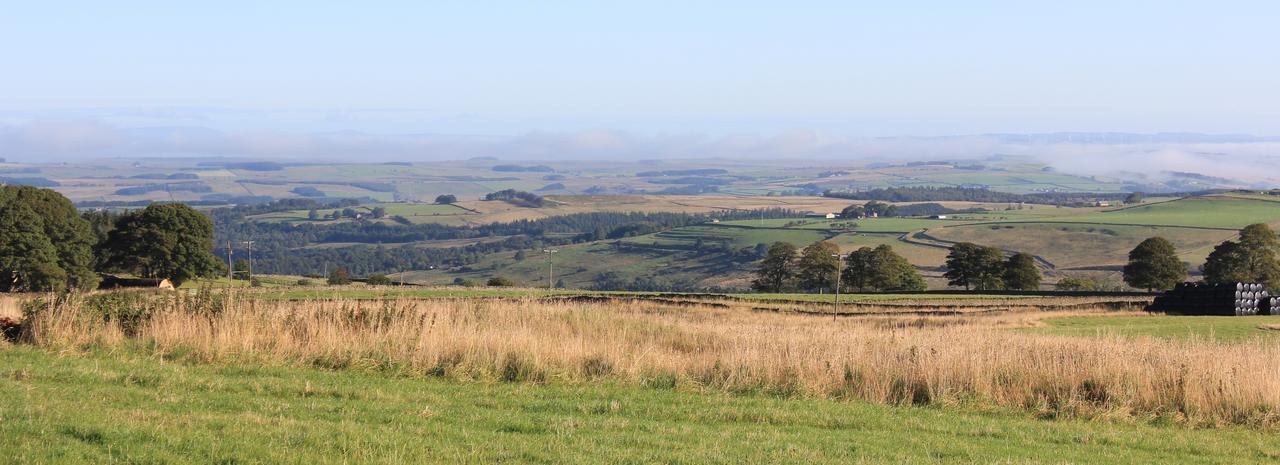 High Keenley Fell Farm Allendale Экстерьер фото